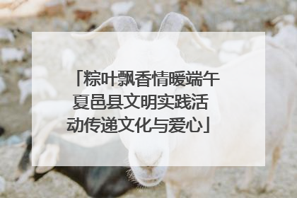 粽叶飘香情暖端午 夏邑县文明实践活动传递文化与爱心